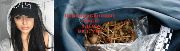 ALPHA-PVP Бородино