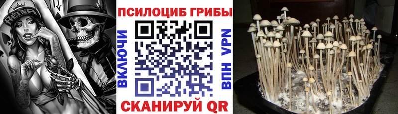 Галлюциногенные грибы Cubensis Далматово